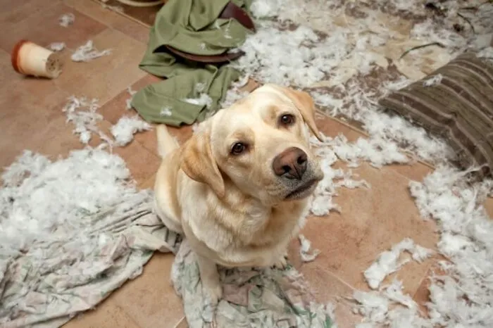 Oops...