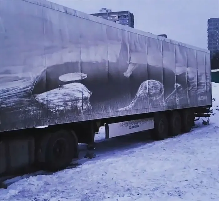 Owners Of Dirty Trucks Find Amazing Drawings On Their Vehicles Left By This Artist (36 New Pics)