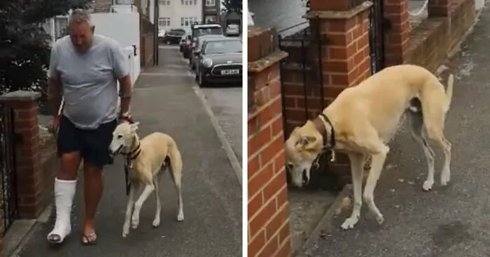 Este hombre lesionado gastó 400$ en el veterinario porque su perro cojeaba, para descubrir que lo hacía por imitarle