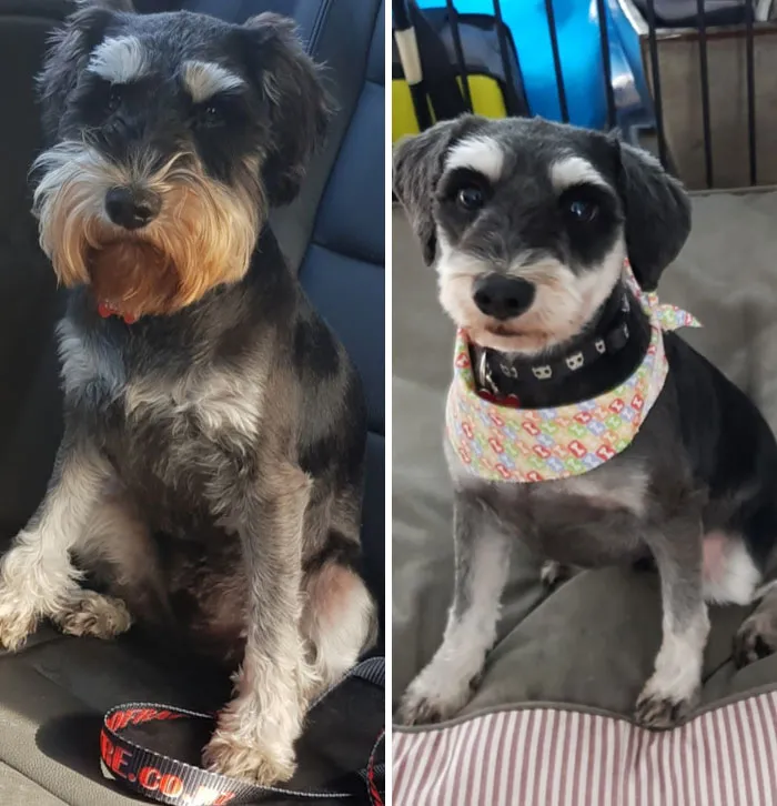 Mi chico, antes y después de ir al peluquero. Pasó de sucio motociclista a inocente hijo de predicador