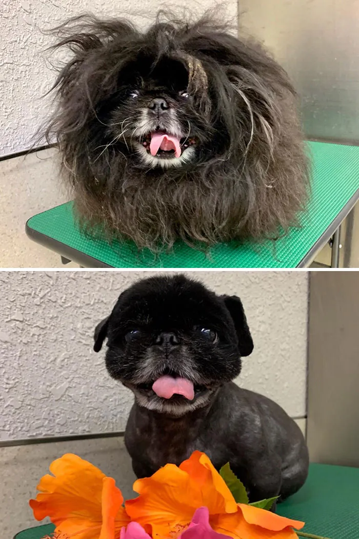 Nuevo corte de pelo, misma sonrisa