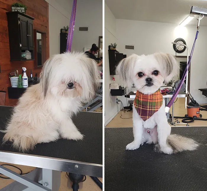 Primer corte de pelo de Big Boy