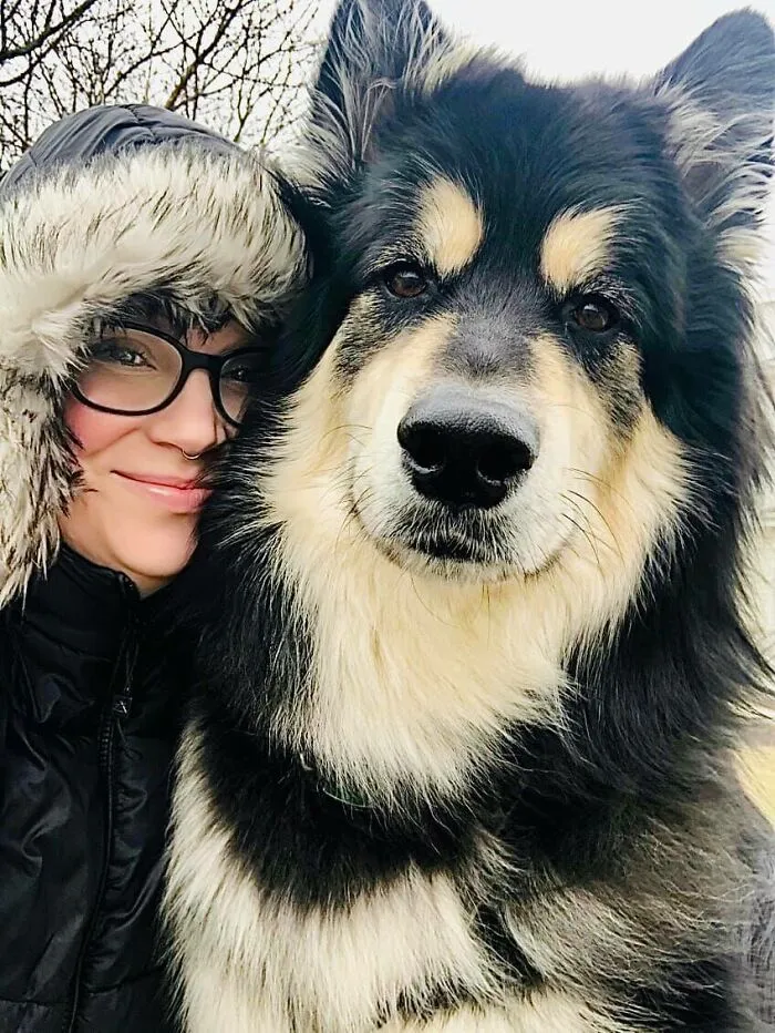 #ModelChallenge On Facebook Has People Sharing The Most Modelesque Pics Of Their Doggies (50 Pics)