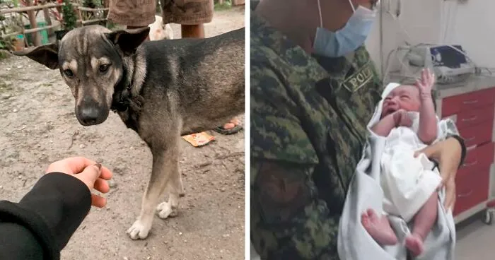 Dog Won't Stop Barking At This Stranger Who Stopped To Pet Him, Leads Him Into The Mountains To This Abandoned Baby