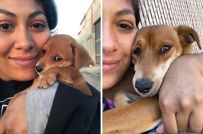 This Is A Year Apart. Last Year When I Found This Little Guy Walking The Streets And Today Getting Cuddles