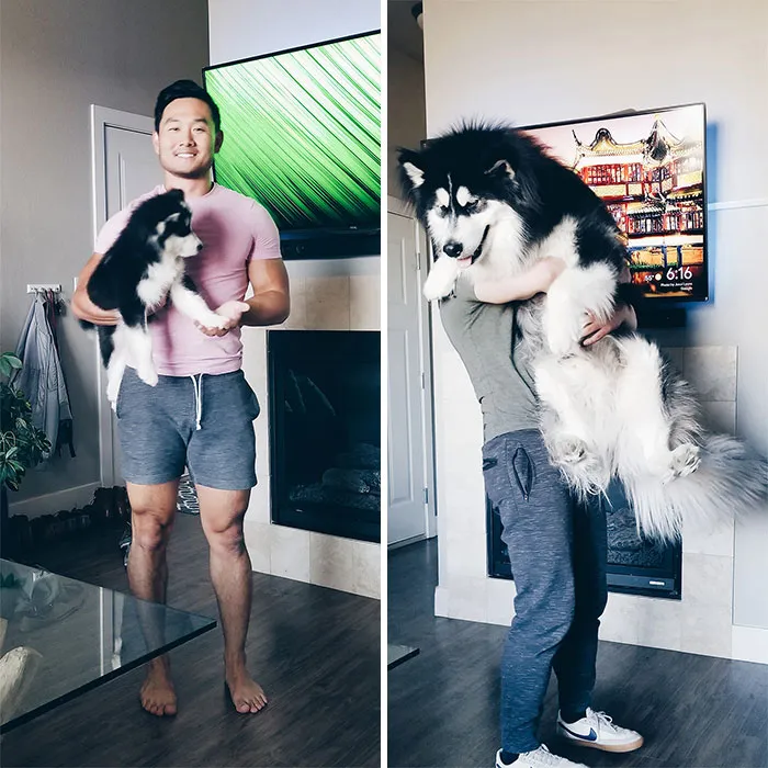 Small Floof To Big Floof In Just 9 Months