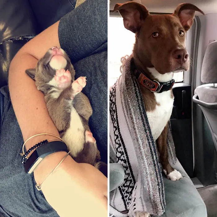 What A Difference A Year Makes