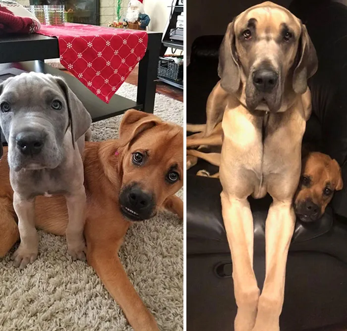Not Much Has Changed In 2 Years