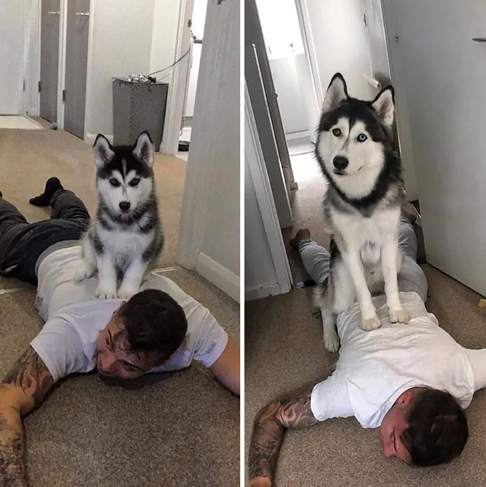 Once The Boss, Always The Boss