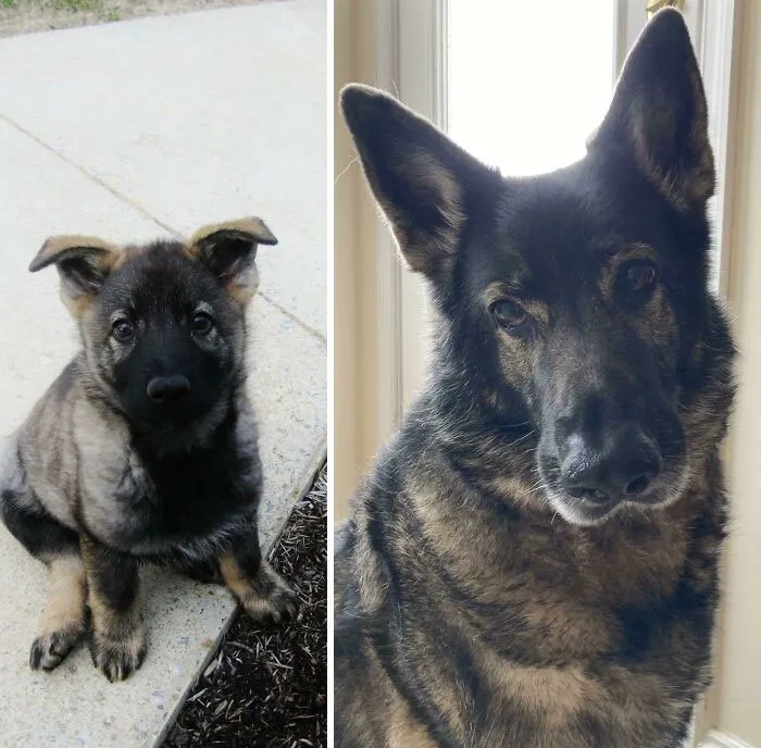 Celebrating A Special Birthday Today, 10 Years Of Lending An Ear