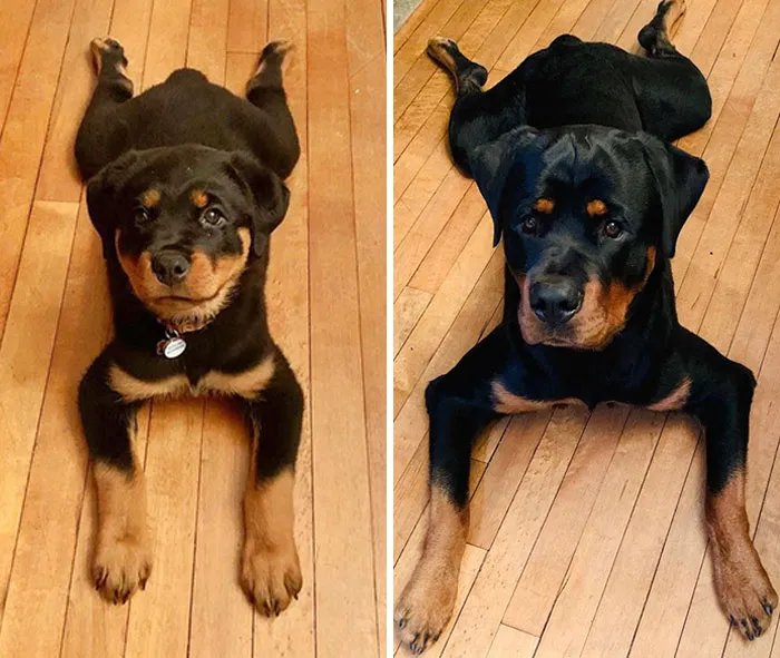 They Grow Up So Fast