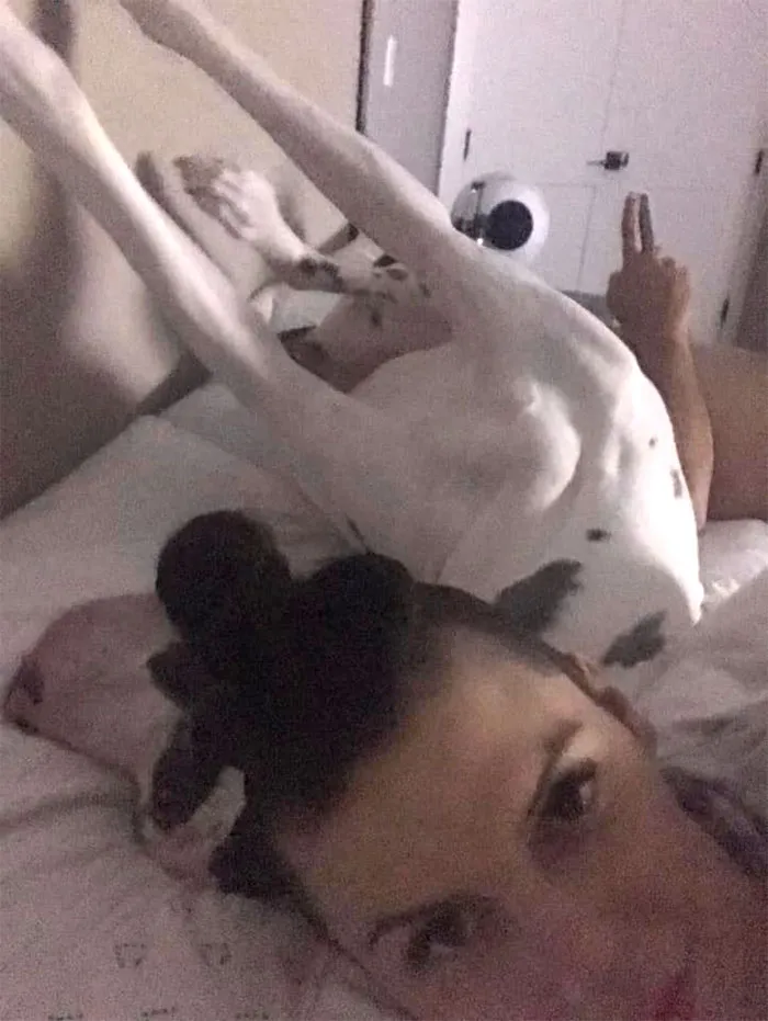 30 Times People Busted Their Dogs Having A Nap In The Funniest Positions And Shared The Pics For #SleepingDogChallenge