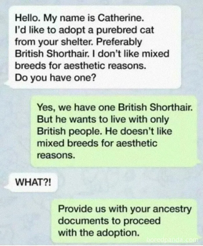 This Made Me Laugh So Much