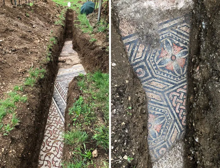 Mosaics Of A Roman Villa Were Found Under A Vineyard In Negrar, Italy
