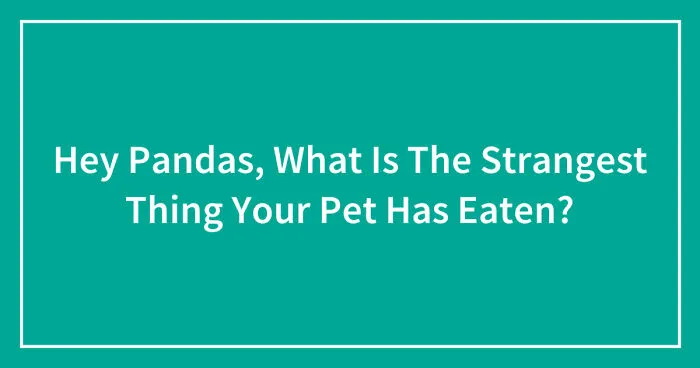 Hey Pandas, What Is The Strangest Thing Your Pet Has Eaten? (Closed)