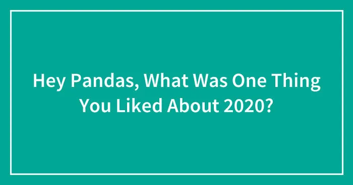 Hey Pandas, What Was One Thing You Liked About 2020? (Closed)
