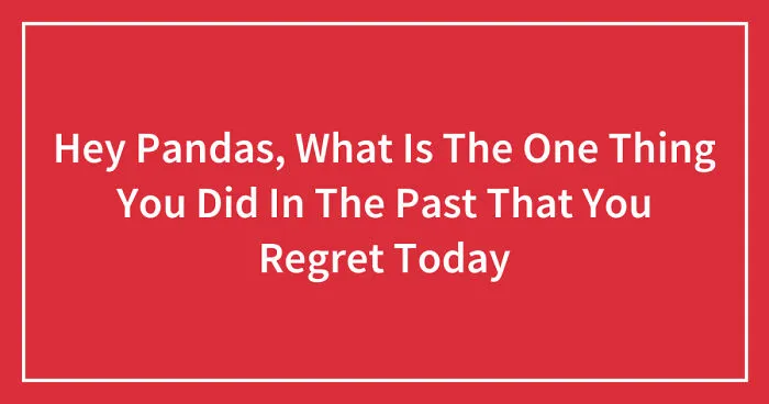Hey Pandas, What Is The One Thing You Did In The Past That You Regret Today? (Closed)