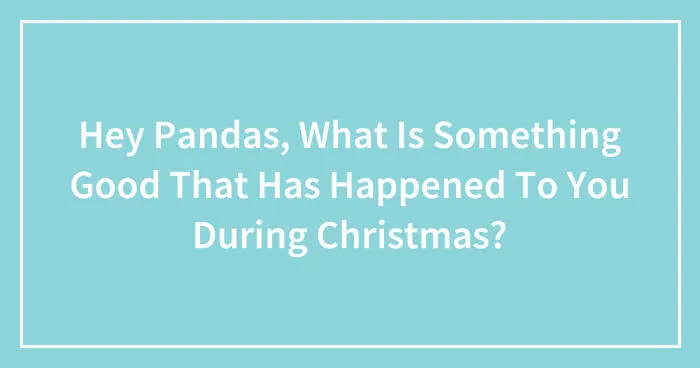 Hey Pandas, What Is Something Good That Has Happened To You During Christmas? (Closed)