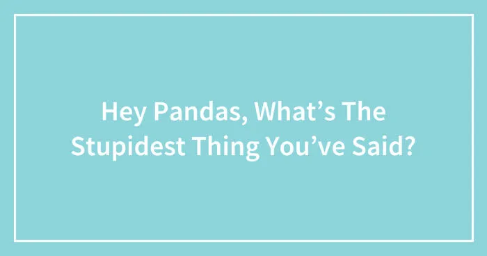 Hey Pandas, What’s The Stupidest Thing You’ve Said? (Closed)