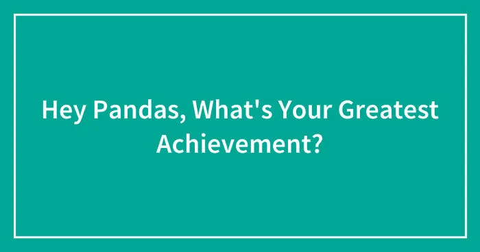 Hey Pandas, What's Your Greatest Achievement? (Closed)