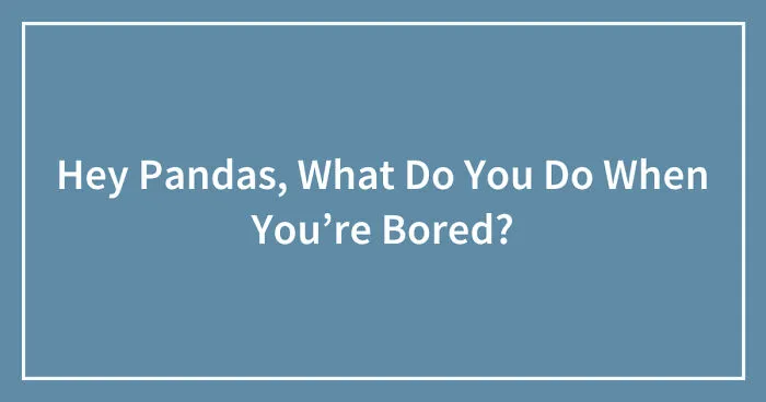 Hey Pandas, What Do You Do When You’re Bored? (Closed)