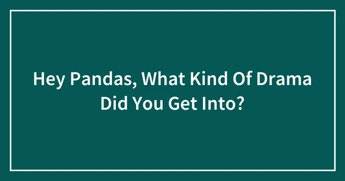 Hey Pandas, What Kind Of Drama Did You Get Into? (Closed)