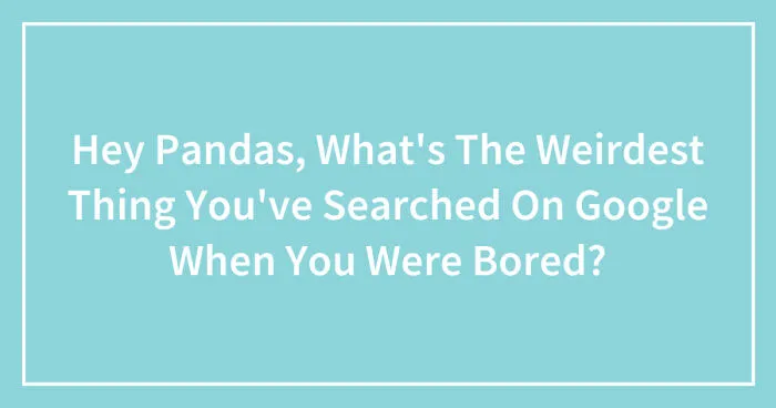 Hey Pandas, What's The Weirdest Thing You've Searched On Google When You Were Bored? (Closed)