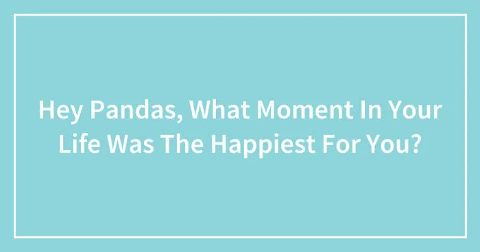 Hey Pandas, What Moment In Your Life Was The Happiest For You? (Closed)