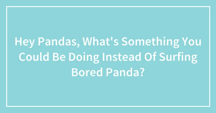 Hey Pandas, What's Something You Could Be Doing Instead Of Surfing Bored Panda? (Closed)