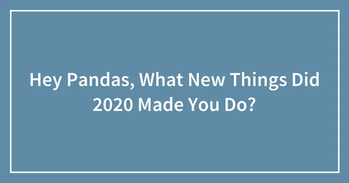Hey Pandas, What New Things Did 2020 Made You Do? (Closed)