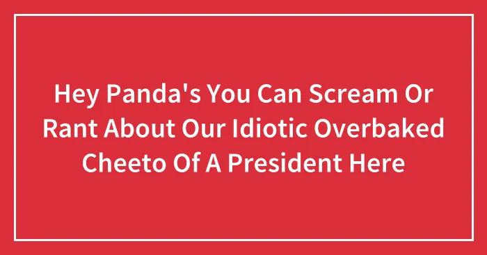 Hey Panda's You Can Scream Or Rant About Our Idiotic Overbaked Cheeto Of A President Here