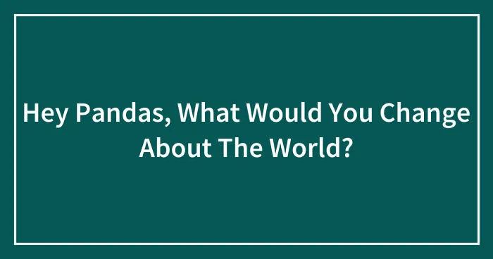Hey Pandas, What Would You Change About The World? (Closed)