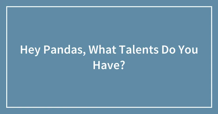 Hey Pandas, What Talents Do You Have? (Closed)