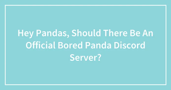 Hey Pandas, Should There Be An Official Bored Panda Discord Server? (Closed)