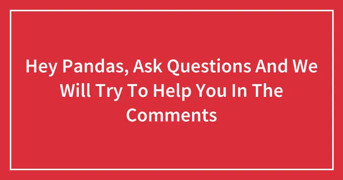 Hey Pandas, Ask Questions And We Will Try To Help You In The Comments (Closed)
