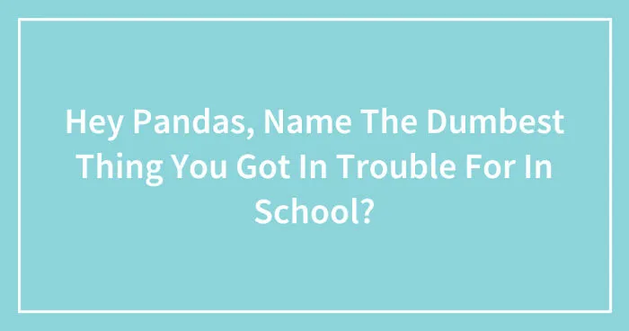 Hey Pandas, Name The Dumbest Thing You Got In Trouble For In School? (Closed)