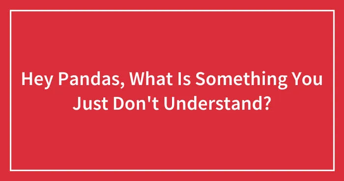 Hey Pandas, What Is Something You Just Don't Understand? (Closed)