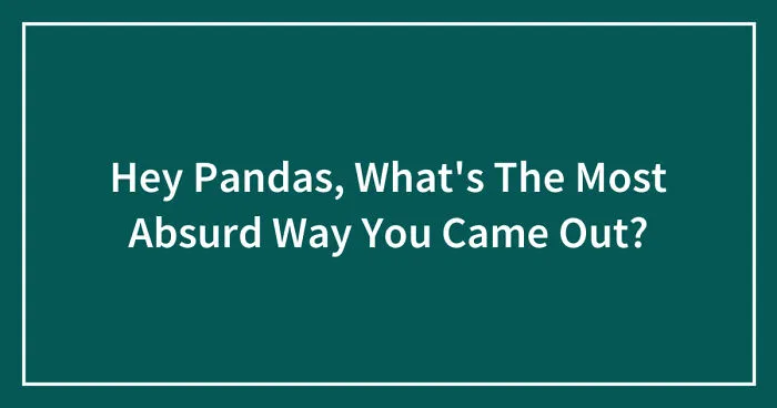 Hey Pandas, What's The Most Absurd Way You Came Out? (Closed)