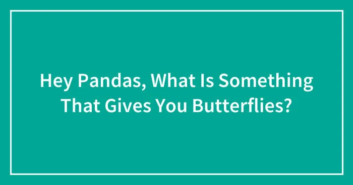 Hey Pandas, What Is Something That Gives You Butterflies? (Closed)