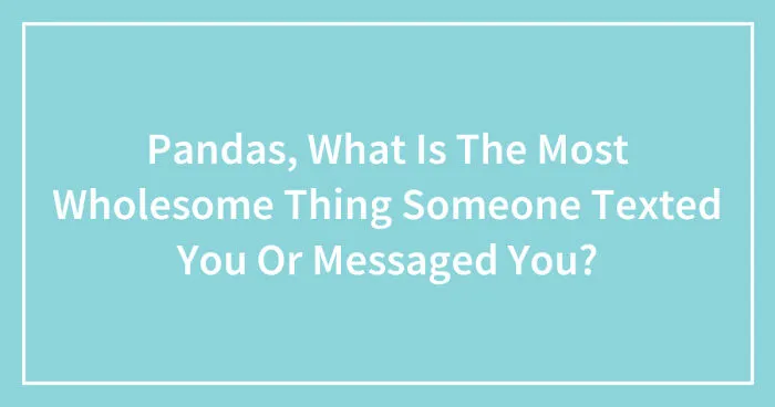 Pandas, What Is The Most Wholesome Thing Someone Texted You Or Messaged You? (Closed)