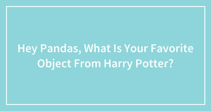 Hey Pandas, What Is Your Favorite Object From Harry Potter? (Closed)