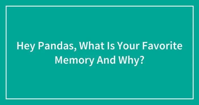 Hey Pandas, What Is Your Favorite Memory And Why? (Closed)