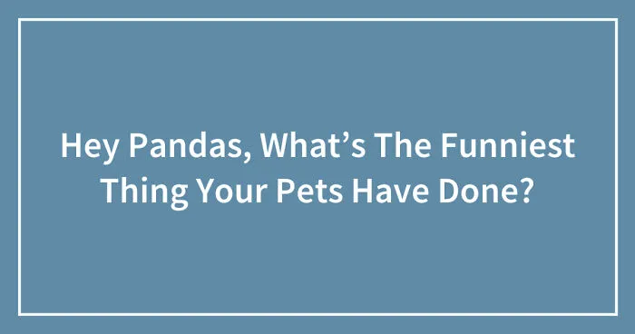 Hey Pandas, What’s The Funniest Thing Your Pets Have Done? (Closed)
