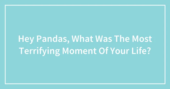 Hey Pandas, What Was The Most Terrifying Moment Of Your Life? (Closed)