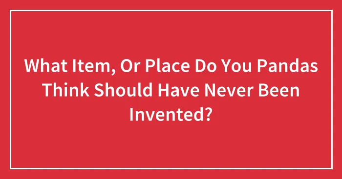 What Item, Or Place Do You Pandas Think Should Have Never Been Invented?