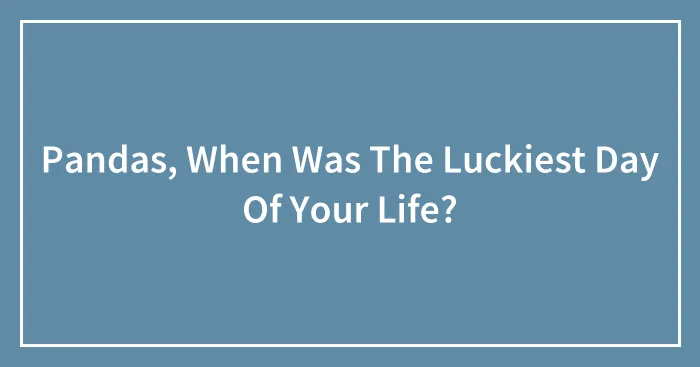 Pandas, When Was The Luckiest Day Of Your Life? (Closed)
