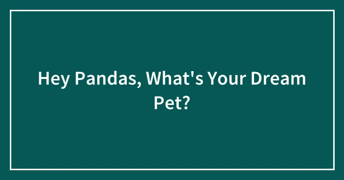 Hey Pandas, What's Your Dream Pet? (Closed)