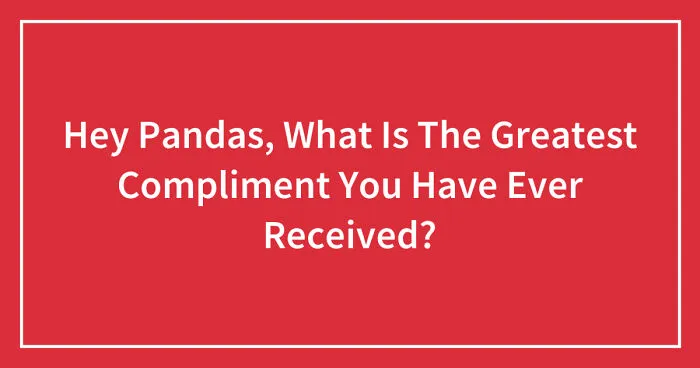 Hey Pandas, What Is The Greatest Compliment You Have Ever Received? (Closed)