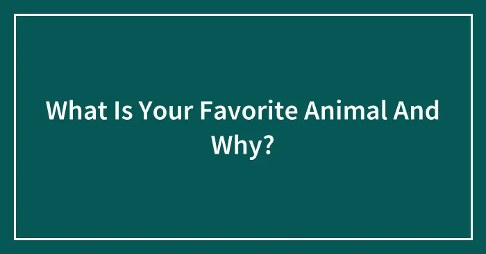 What Is Your Favorite Animal And Why?