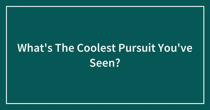 What's The Coolest Pursuit You've Seen?